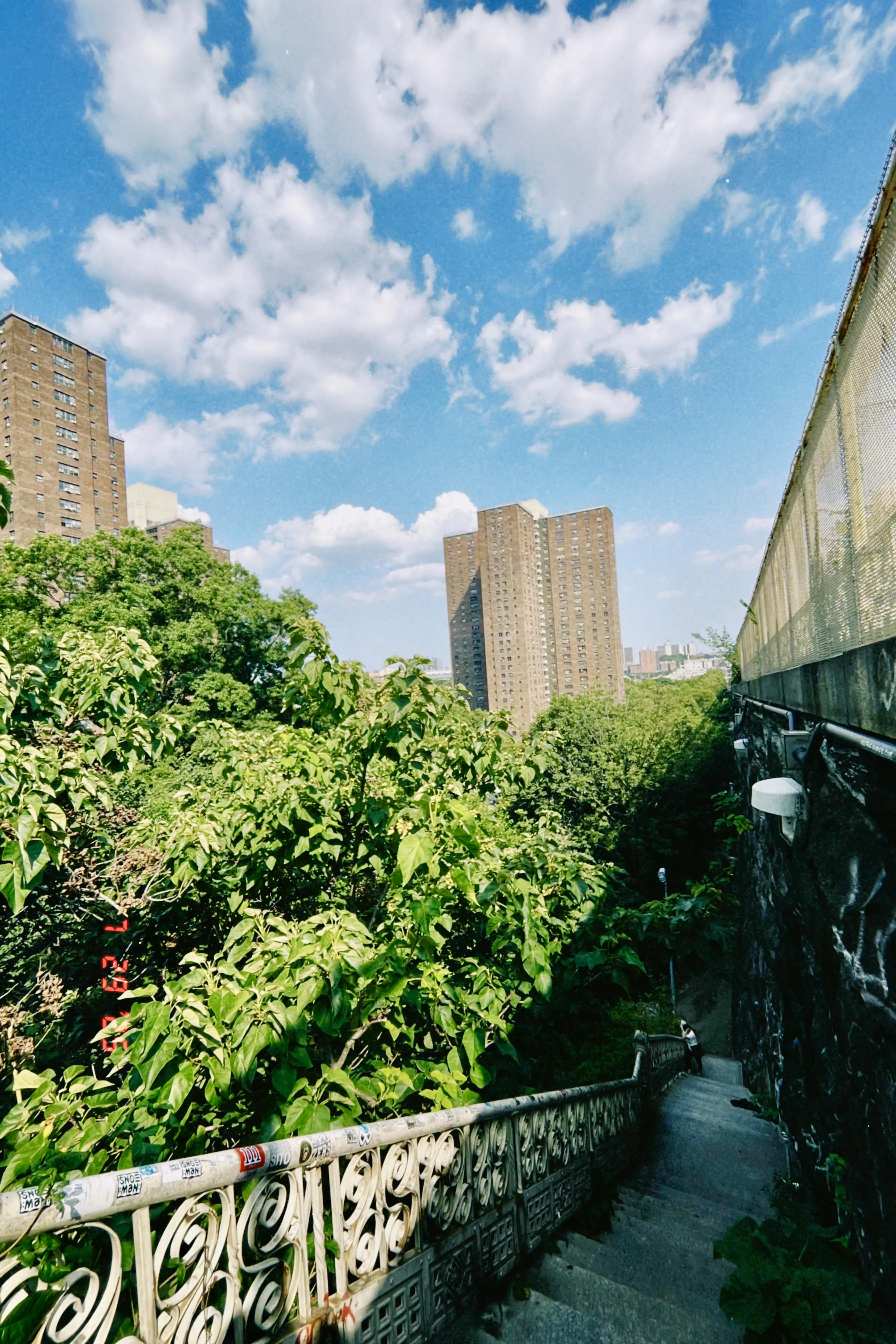 Harlem